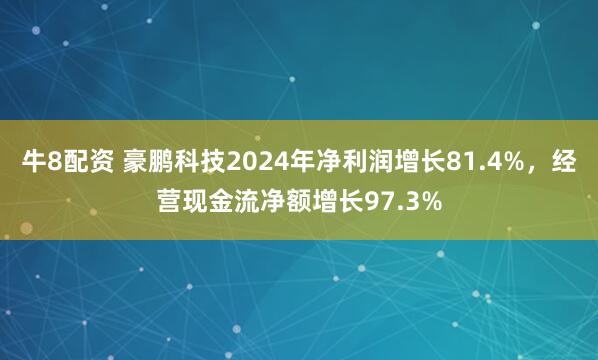 牛8配资 豪鹏科技2024年净利润增长81.4%，经营现金流净额增长97.3%