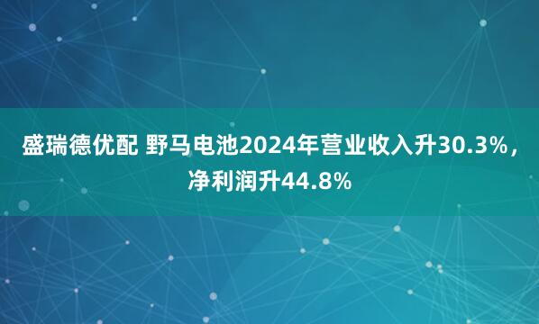 盛瑞德优配 野马电池2024年营业收入升30.3%，净利润升44.8%