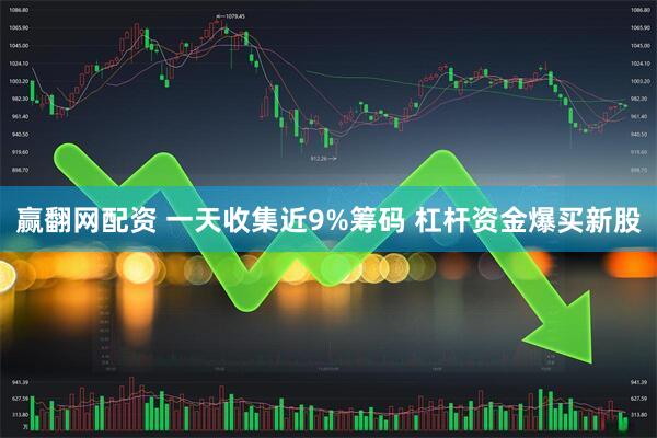 赢翻网配资 一天收集近9%筹码 杠杆资金爆买新股