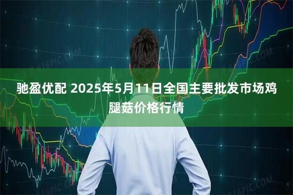 驰盈优配 2025年5月11日全国主要批发市场鸡腿菇价格行情
