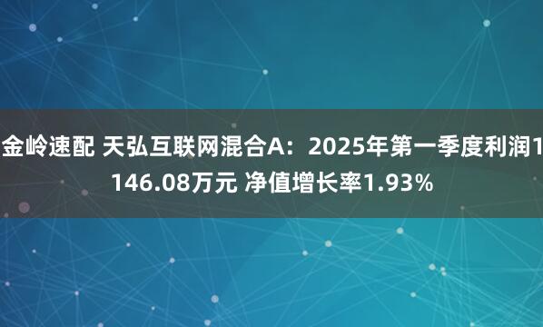 金岭速配 天弘互联网混合A：2025年第一季度利润1146.08万元 净值增长率1.93%