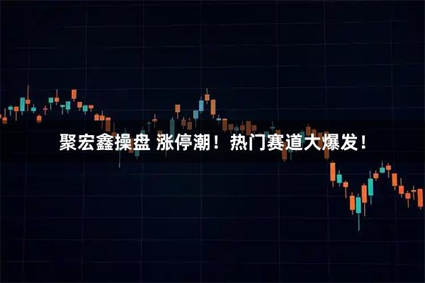 聚宏鑫操盘 涨停潮！热门赛道大爆发！