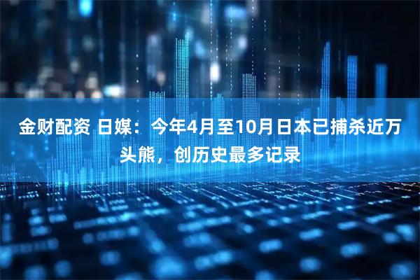 金财配资 日媒：今年4月至10月日本已捕杀近万头熊，创历史最多记录