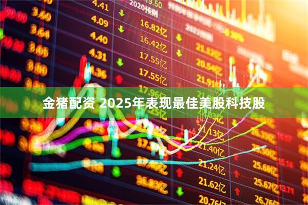 金猪配资 2025年表现最佳美股科技股