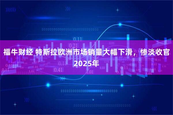 福牛财经 特斯拉欧洲市场销量大幅下滑，惨淡收官2025年