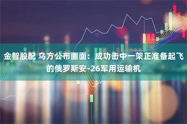 金智股配 乌方公布画面：成功击中一架正准备起飞的俄罗斯安-26军用运输机