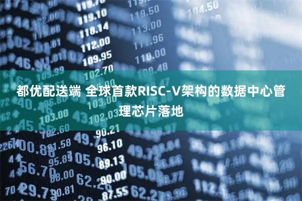 都优配送端 全球首款RISC-V架构的数据中心管理芯片落地